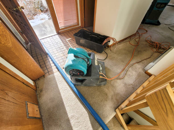 Water damage restoration experts in West Pelzer, SC