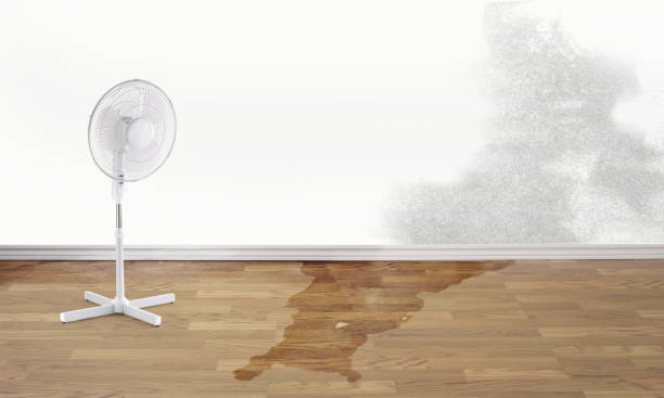 Best Commercial water damage restoration  in West Pelzer, SC
