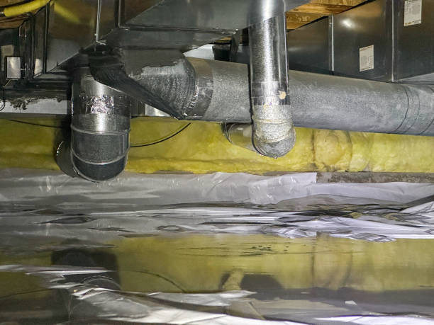 Best Emergency water extraction  in West Pelzer, SC