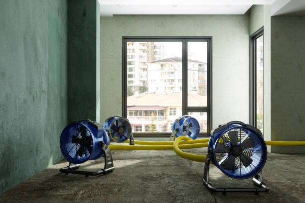 Best Water damage cleanup near me  in West Pelzer, SC