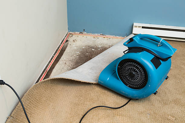Best Water damage restoration near me  in West Pelzer, SC